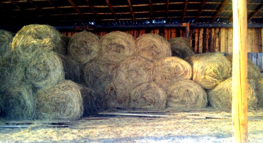 2 тонны сена. Навес для сена в рулонах. Хранение сена. Хранение кормов на складе.