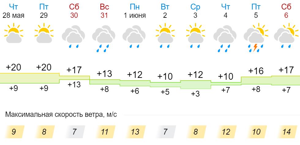 Погода в мичуринске ленинградской