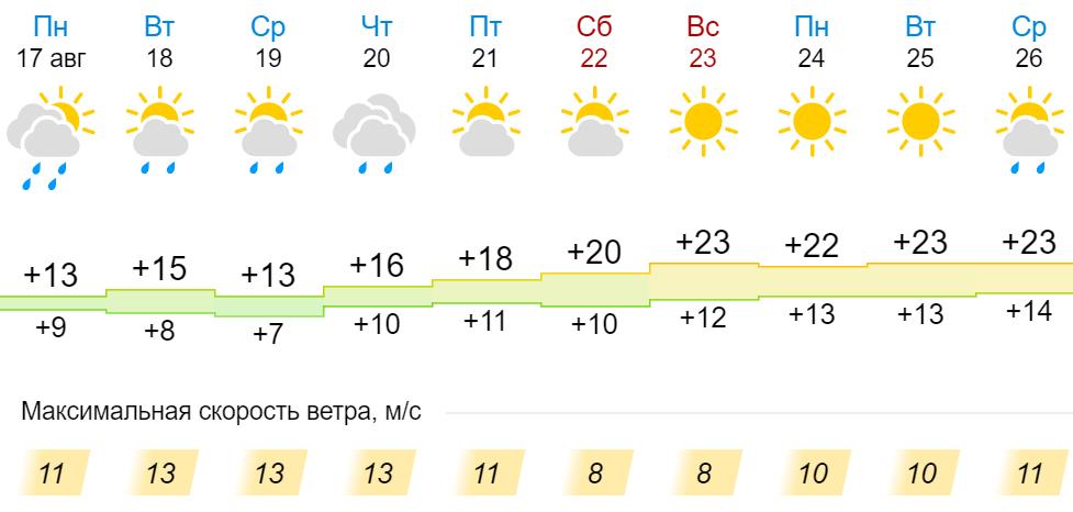 Погода гисметео советск кировская. Погода в Кольчугино. Погода в Кольчугино на неделю. Погода в Кольчугино Владимирской области на неделю. Погода в Кольчугино на 14 дней.