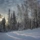 Пасмурно и -8°С днем: погода в Кировской области на 21 января