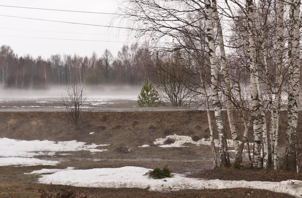 Фото пасмурной погоды весной