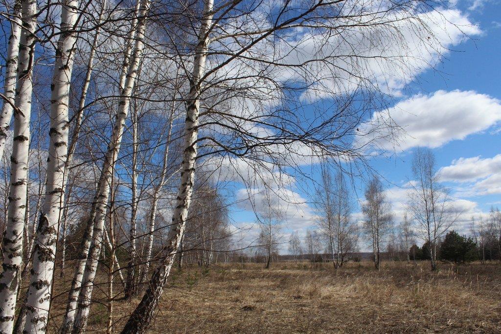 Погода б март. Март месяц в Кировской области фотография. Какая была облачность 23 апреля. Погодой.