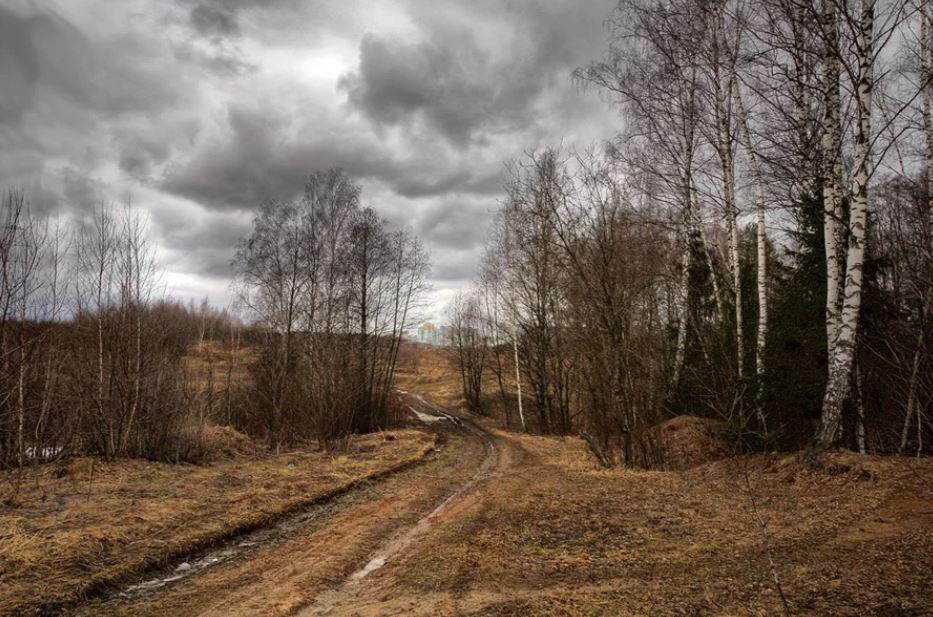 Фото пасмурной погоды весной