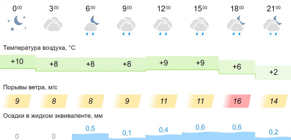 Дни в октябре ветреные и дождливые. Погода в Омске. Омск климат. Погода на сегодня. Погода город Омск.