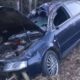 В Оричевском районе водитель «Ауди» сбил лося: пострадал один человек