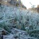 МЧС: 16 мая в Кировской области сохранятся заморозки до -4°С