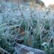 В Кировской области ожидаются заморозки до -6°С: объявлено метеопредупреждение