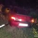 В Кирове водитель «ВАЗа» сбил лося: пострадал один человек