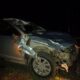 В Верхошижемском районе водитель «Шкоды» сбил лося: пострадали два человека
