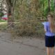 В Кирово-Чепецке по факту гибели малолетней девочки в результате падения на нее ветки дерева возбуждено уголовное дело